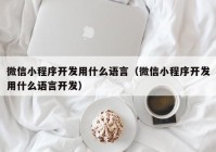 微信小程序开发用什么语言（微信小程序开发用什么语言开发）