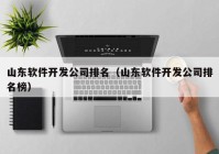 山东软件开发公司排名（山东软件开发公司排名榜）