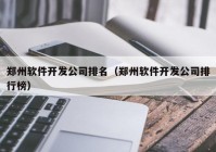 郑州软件开发公司排名（郑州软件开发公司排行榜）