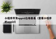 小程序开发appid在哪里看（查看小程序的appid）