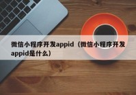 微信小程序开发appid（微信小程序开发appid是什么）