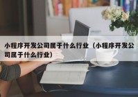 小程序开发公司属于什么行业（小程序开发公司属于什么行业）