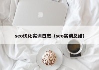 seo优化实训日志（seo实训总结）