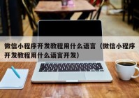 微信小程序开发教程用什么语言（微信小程序开发教程用什么语言开发）