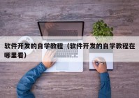 软件开发的自学教程（软件开发的自学教程在哪里看）