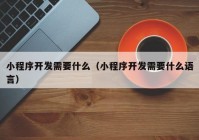 小程序开发需要什么（小程序开发需要什么语言）