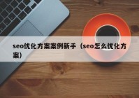 seo优化方案案例新手（seo怎么优化方案）