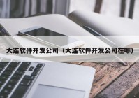 大连软件开发公司（大连软件开发公司在哪）