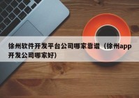 徐州软件开发平台公司哪家靠谱（徐州app开发公司哪家好）