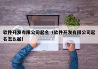 软件开发有限公司起名（软件开发有限公司起名怎么起）