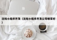 沈阳小程序开发（沈阳小程序开发公司哪家好）