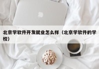 北京学软件开发就业怎么样（北京学软件的学校）