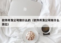 软件开发公司做什么的（软件开发公司有什么岗位）